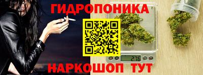 дмт Тара