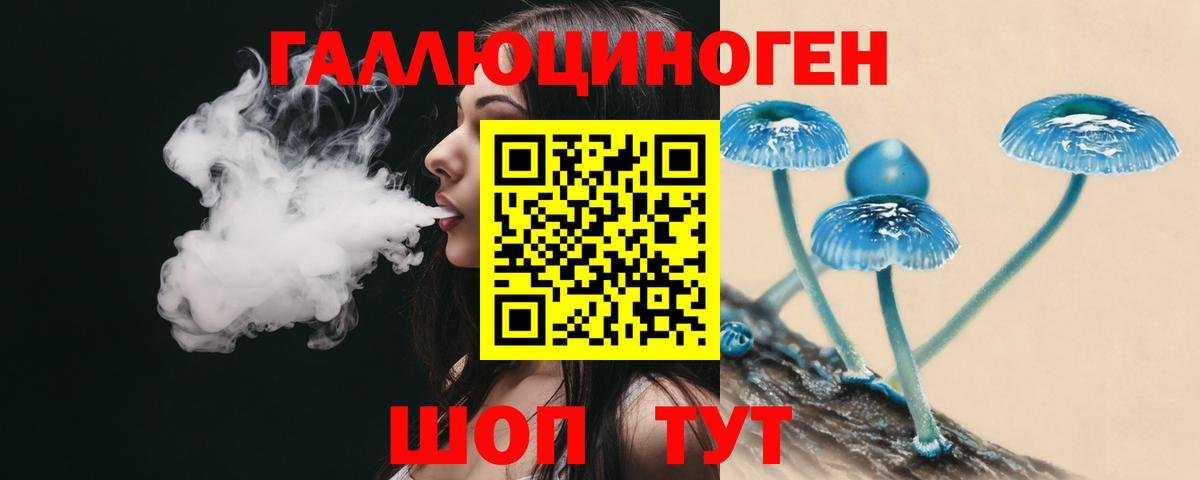 Новый Уренгой  Псилоцибиновые грибы Cubensis  купить закладку  Вход с VPN 